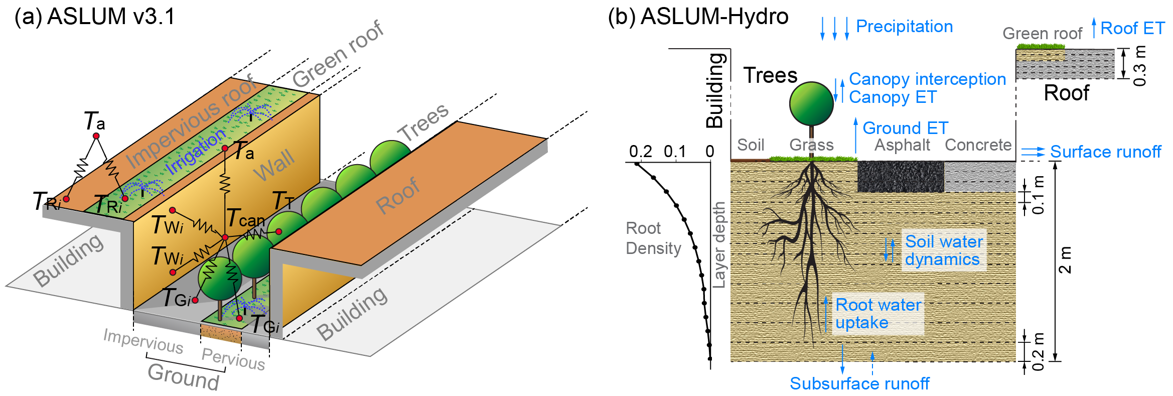 ASLUM and ASLUM-Hydro schematic